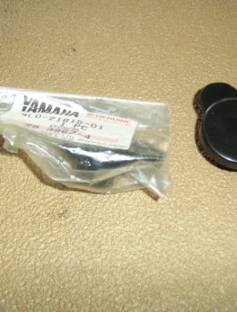Yamaha-Cap-side-cover-4L0-21815-01