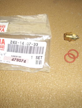 Yamaha-Needle-valve-set-24X-14107-33