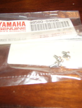 Yamaha-Screw-98580-03006