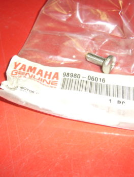 Yamaha-Screw-98980-06016