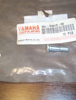 Yamaha-Screw-lever-fitting-3VL-H3915-00