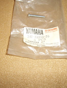 Yamaha-Screw-special-flasher-lamp-341-83333-70