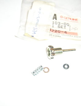 Yamaha-Throttle-screw-set-1KT-14103-00
